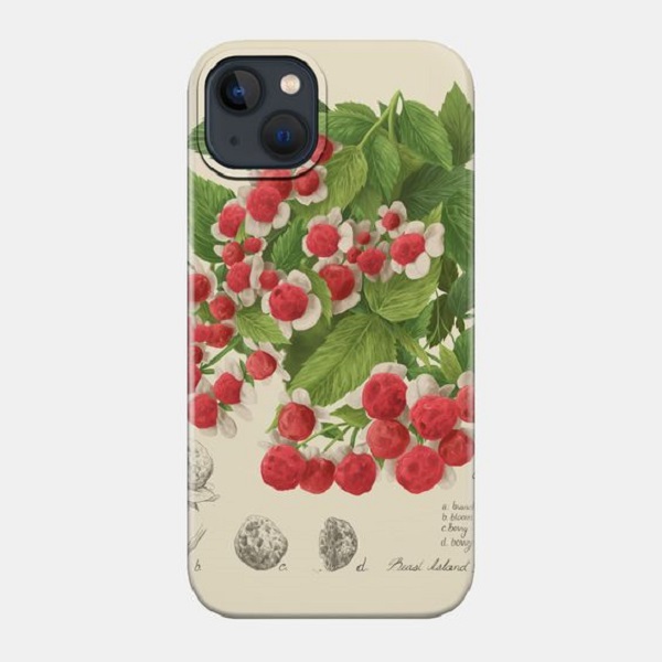 Print Phone Case Designs